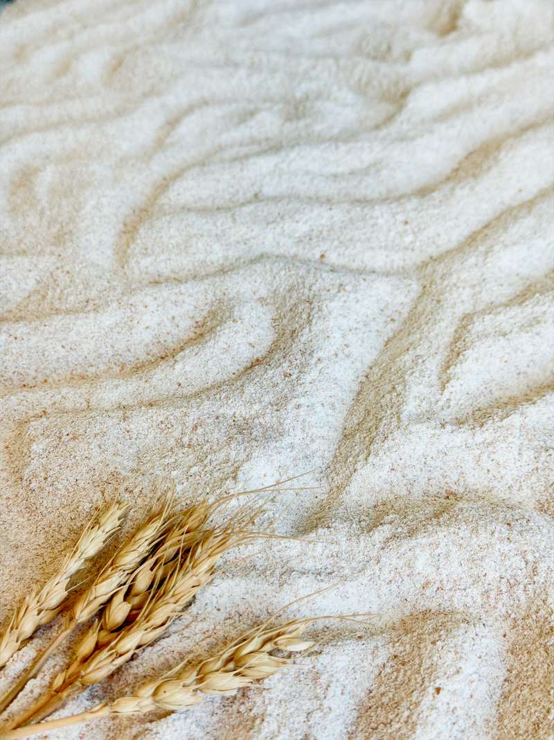 Organic Whole Grain Wheat Flour