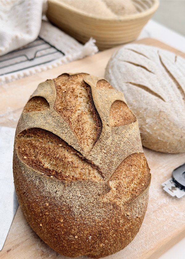 Organic Breads
