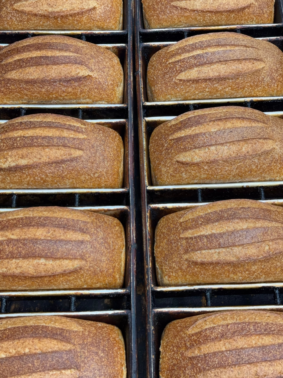 Organic Spelt Sourdough