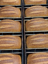 Organic Spelt Sourdough