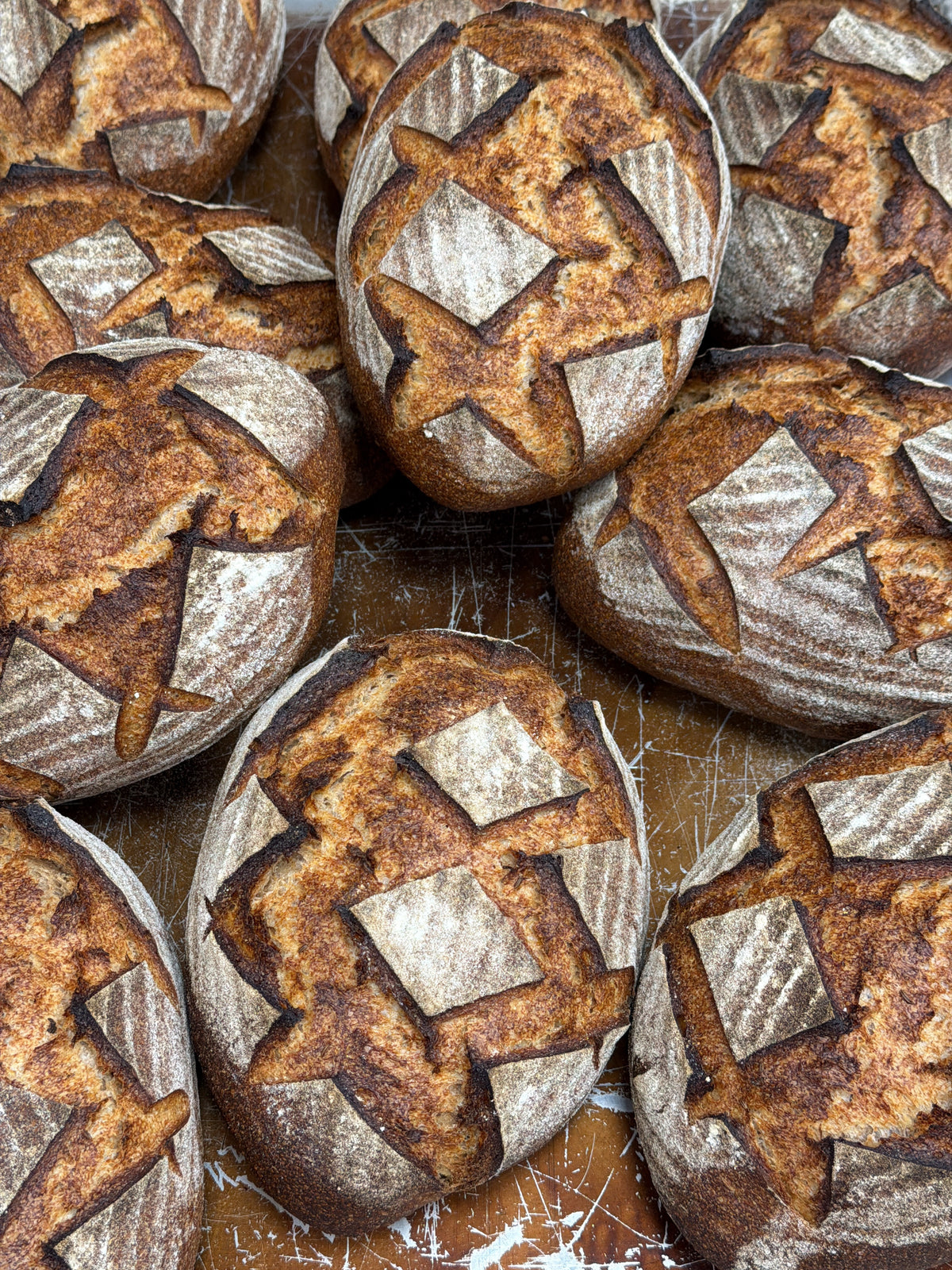 Organic German Rye Sourdough