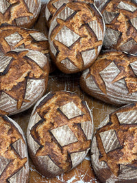 Organic German Rye Sourdough