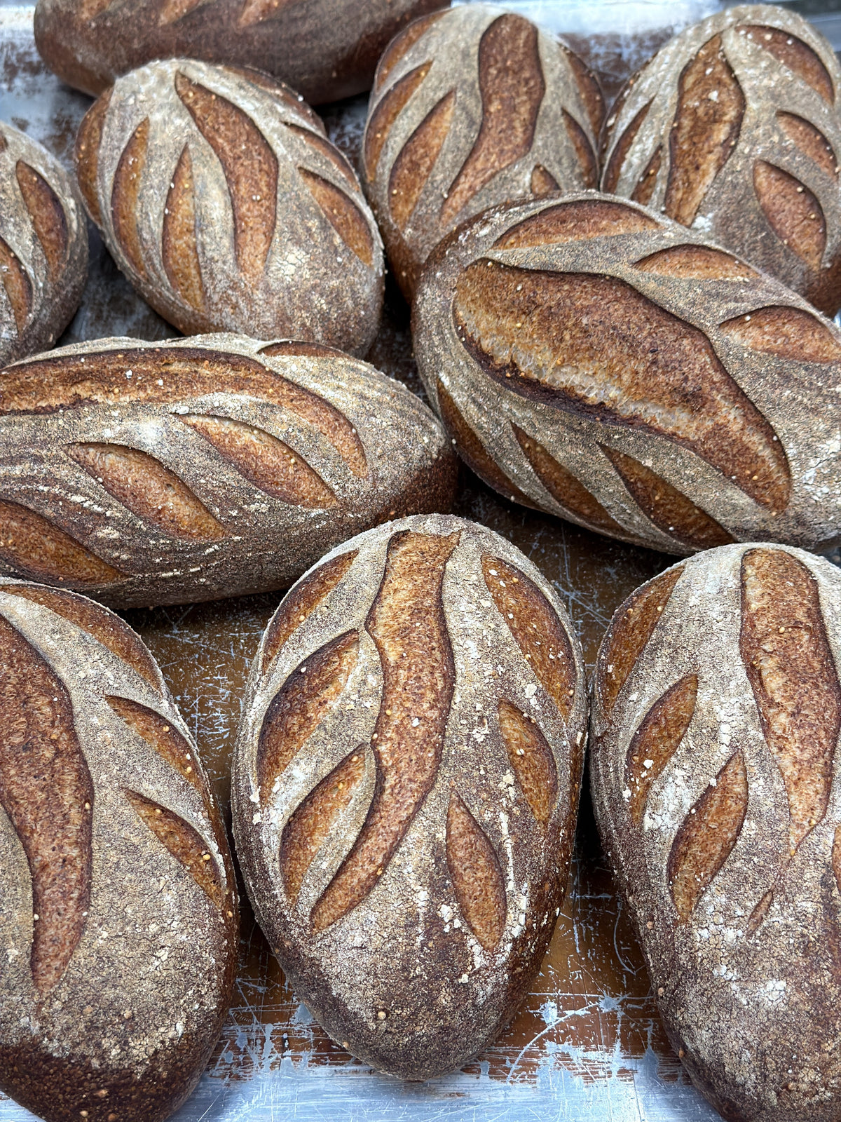 Organic Ezekiel Sourdough