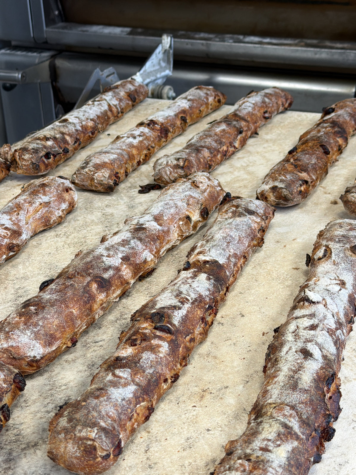 Organic Cranberry & Walnut Baguette