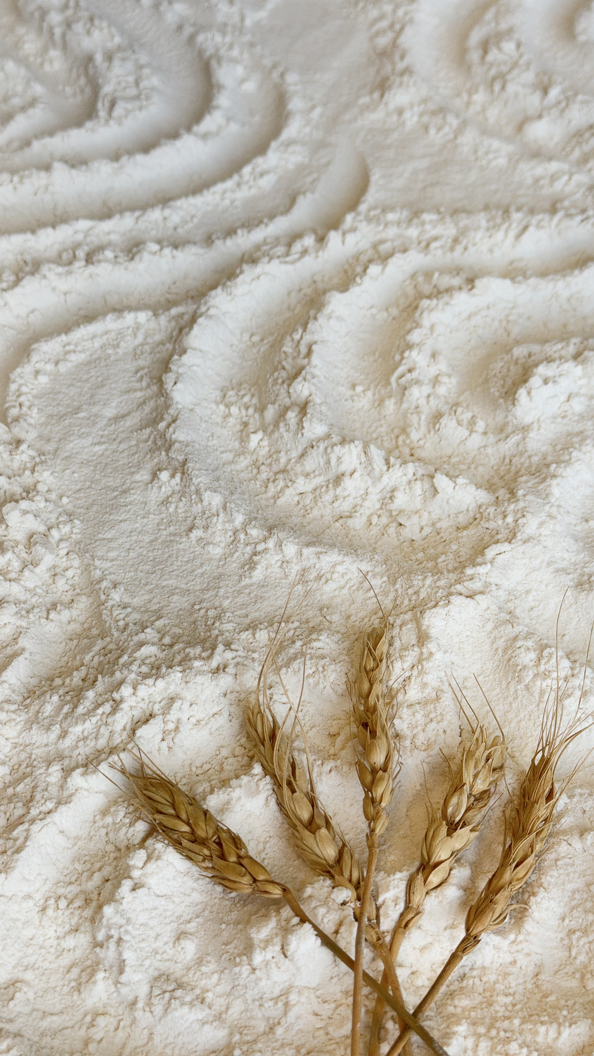 Organic Unbleached White Flour