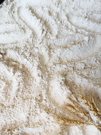 Organic Whole Grain Spelt Flour