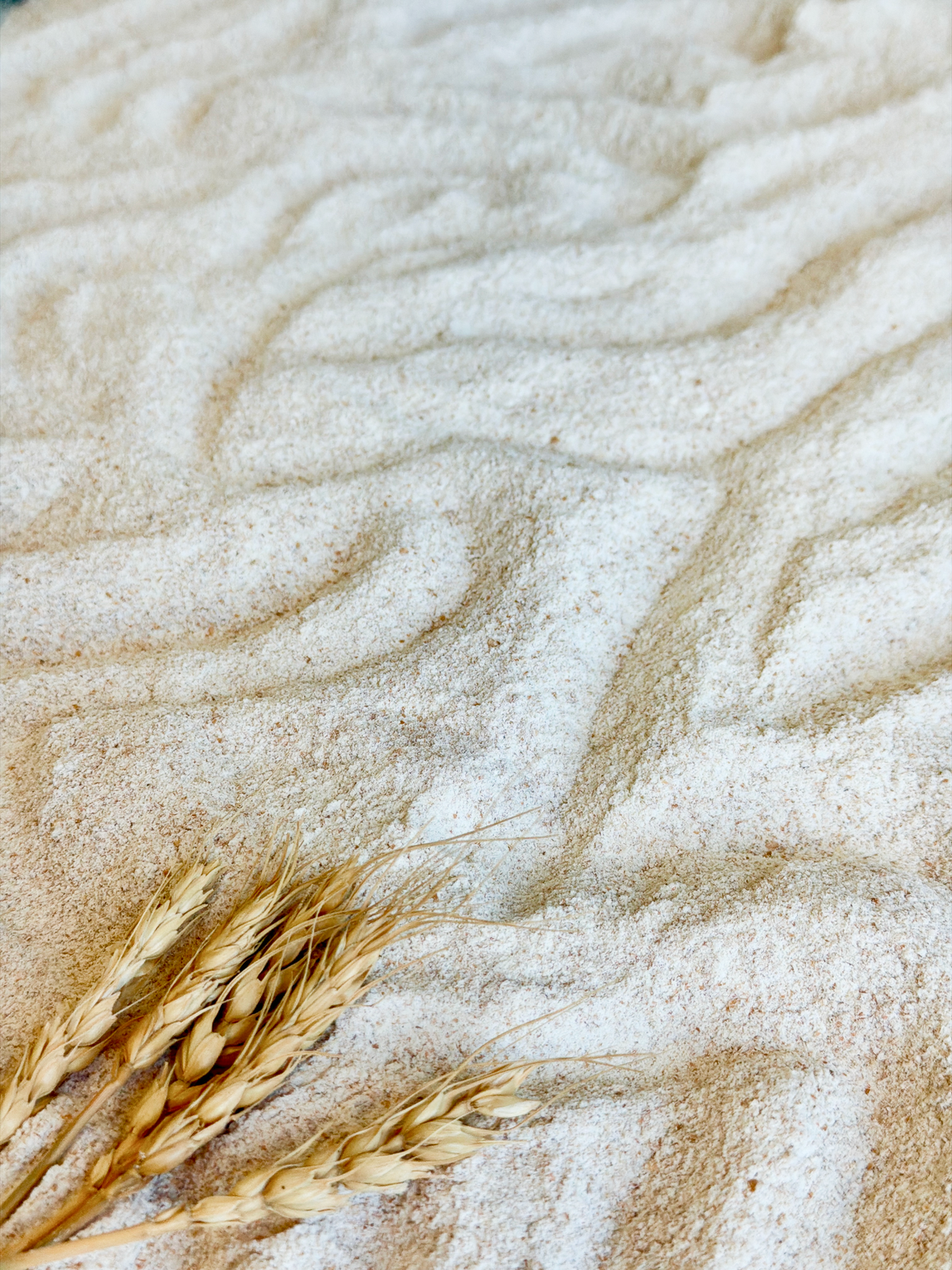 Organic Whole Grain Wheat Flour