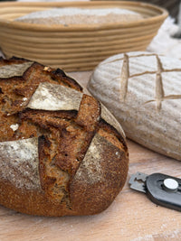 Organic German Rye Sourdough