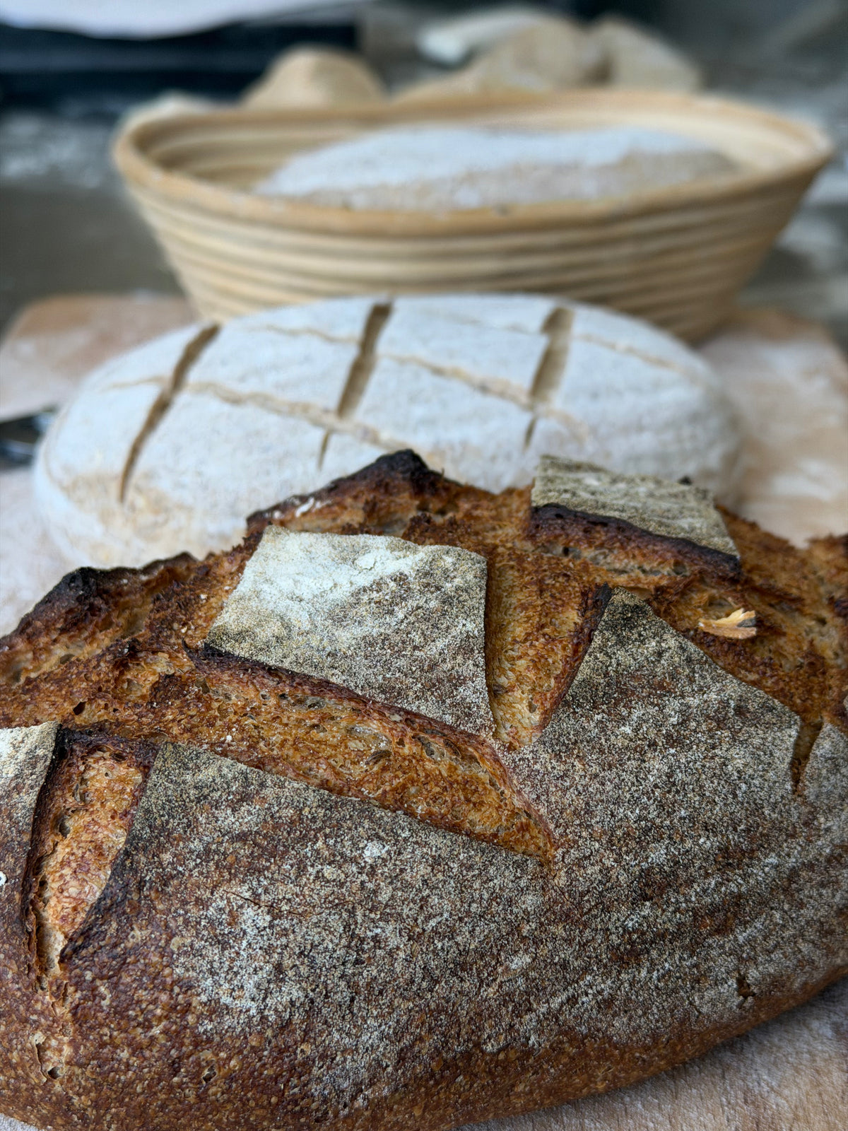 Organic German Rye Sourdough