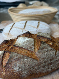 Organic German Rye Sourdough