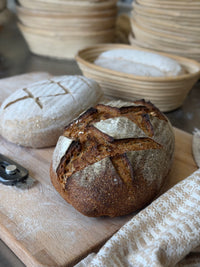 Organic German Rye Sourdough