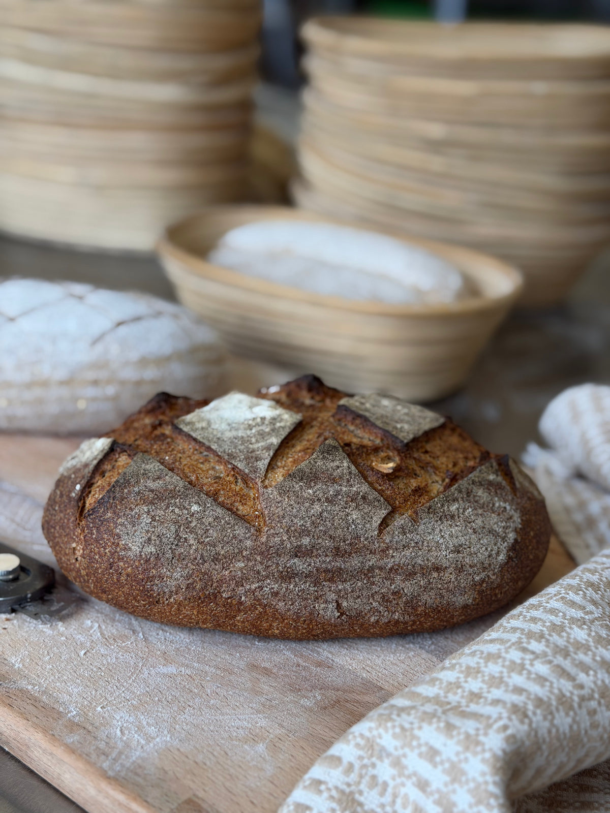 Organic German Rye Sourdough