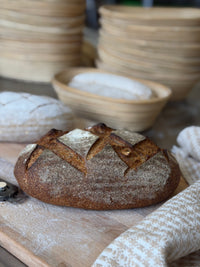 Organic German Rye Sourdough