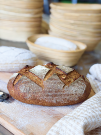 Organic German Rye Sourdough