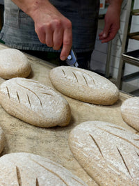 Organic Ezekiel Sourdough