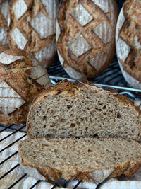 Organic German Rye Sourdough