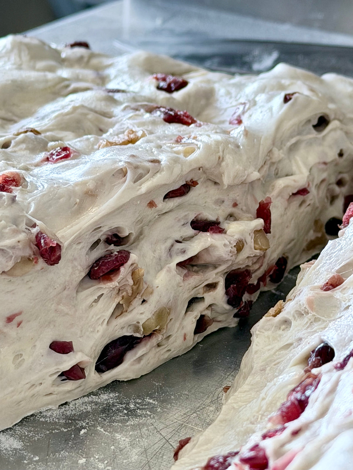 Organic Cranberry & Walnut Baguette