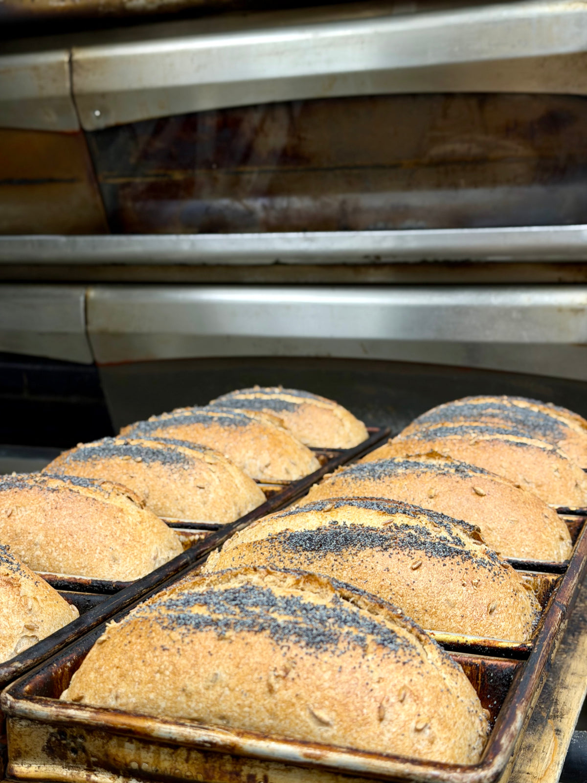 Organic Sprouted Multigrain Sourdough