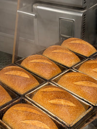 Organic Whole Wheat Sourdough