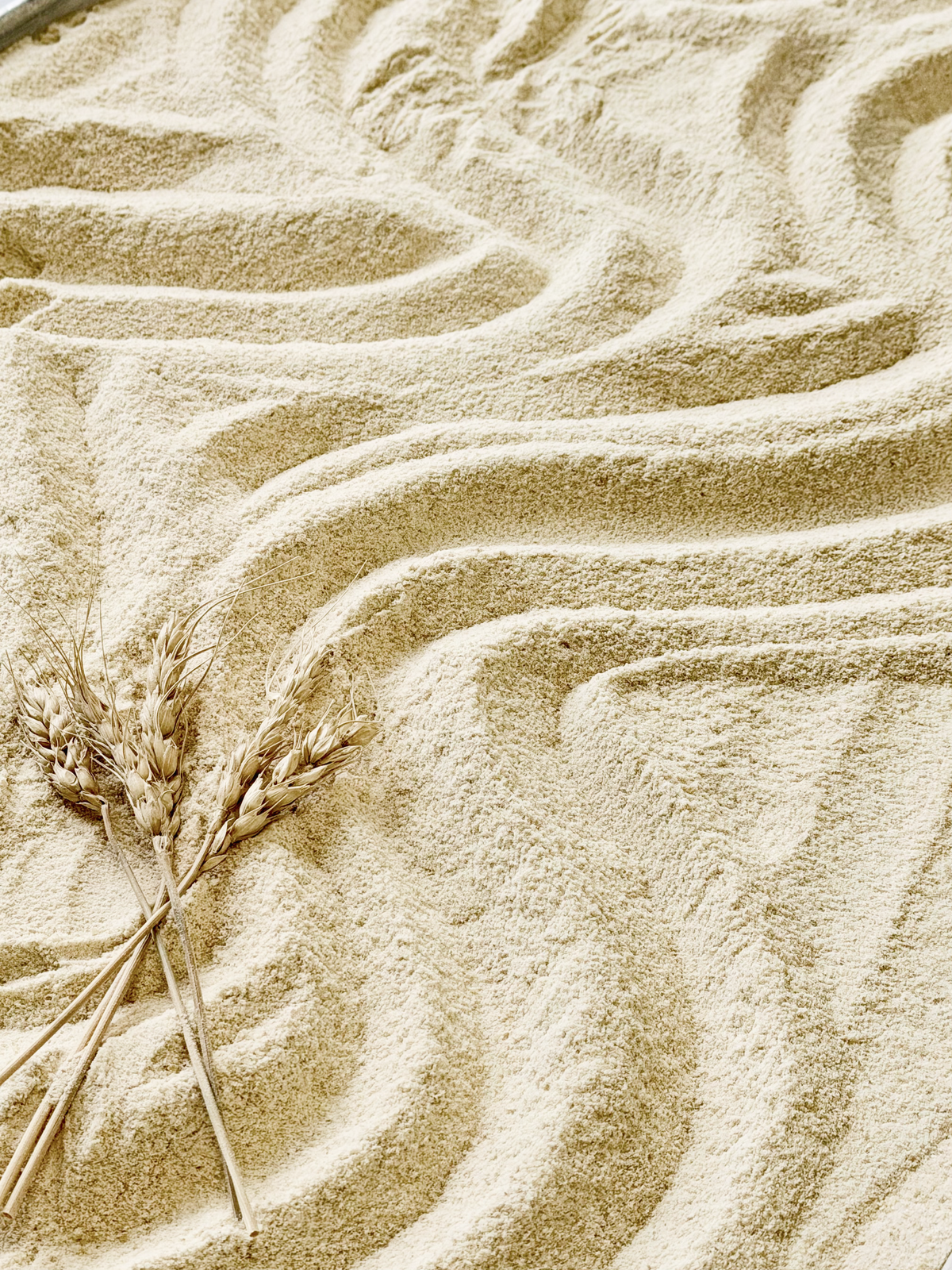 Organic Whole Grain Kamut Flour