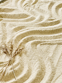 Organic Whole Grain Kamut Flour