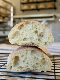 Organic Ciabatta Buns Pack of 6