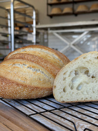 Organic Ciabatta Sourdough