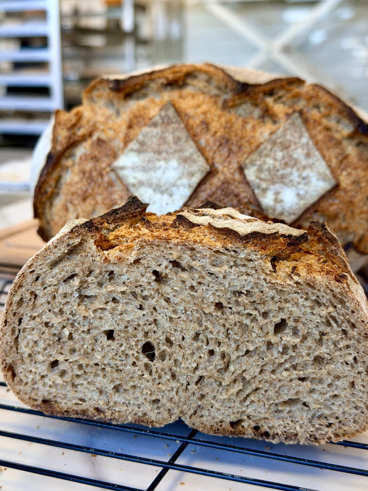 Organic German Rye Sourdough
