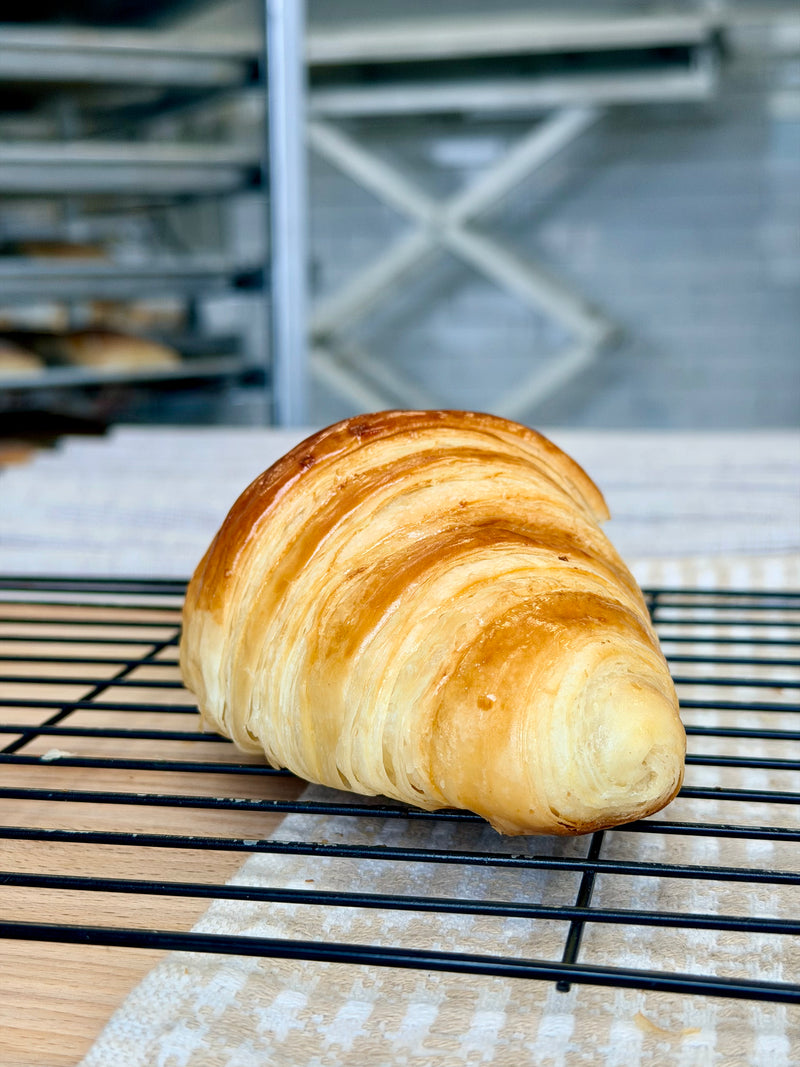 European Chocolate Croissant