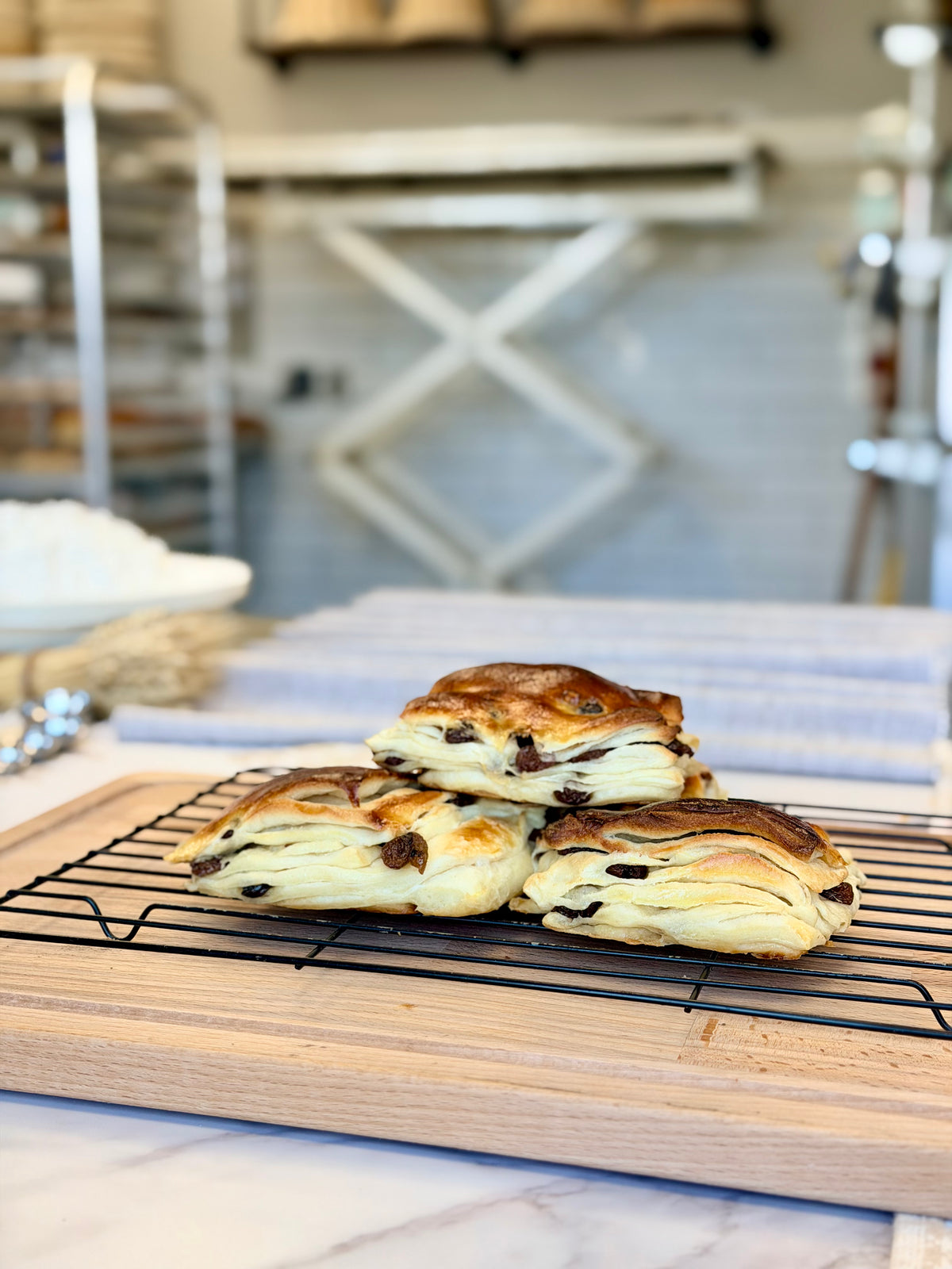 Raisin Brioche
