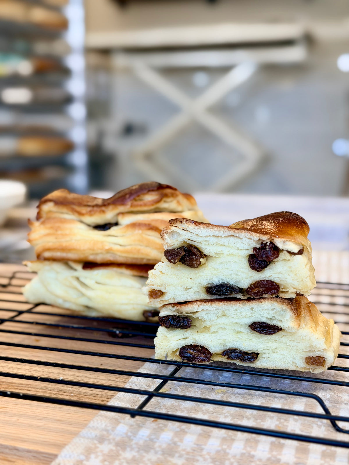 Raisin Brioche