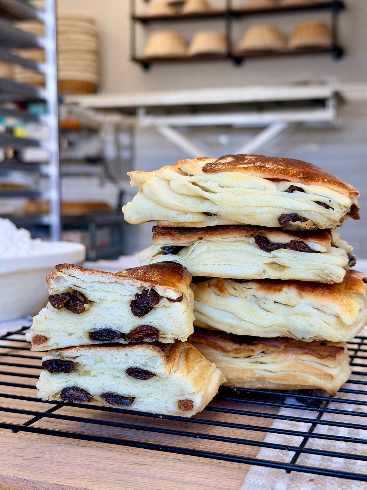 Raisin Brioche