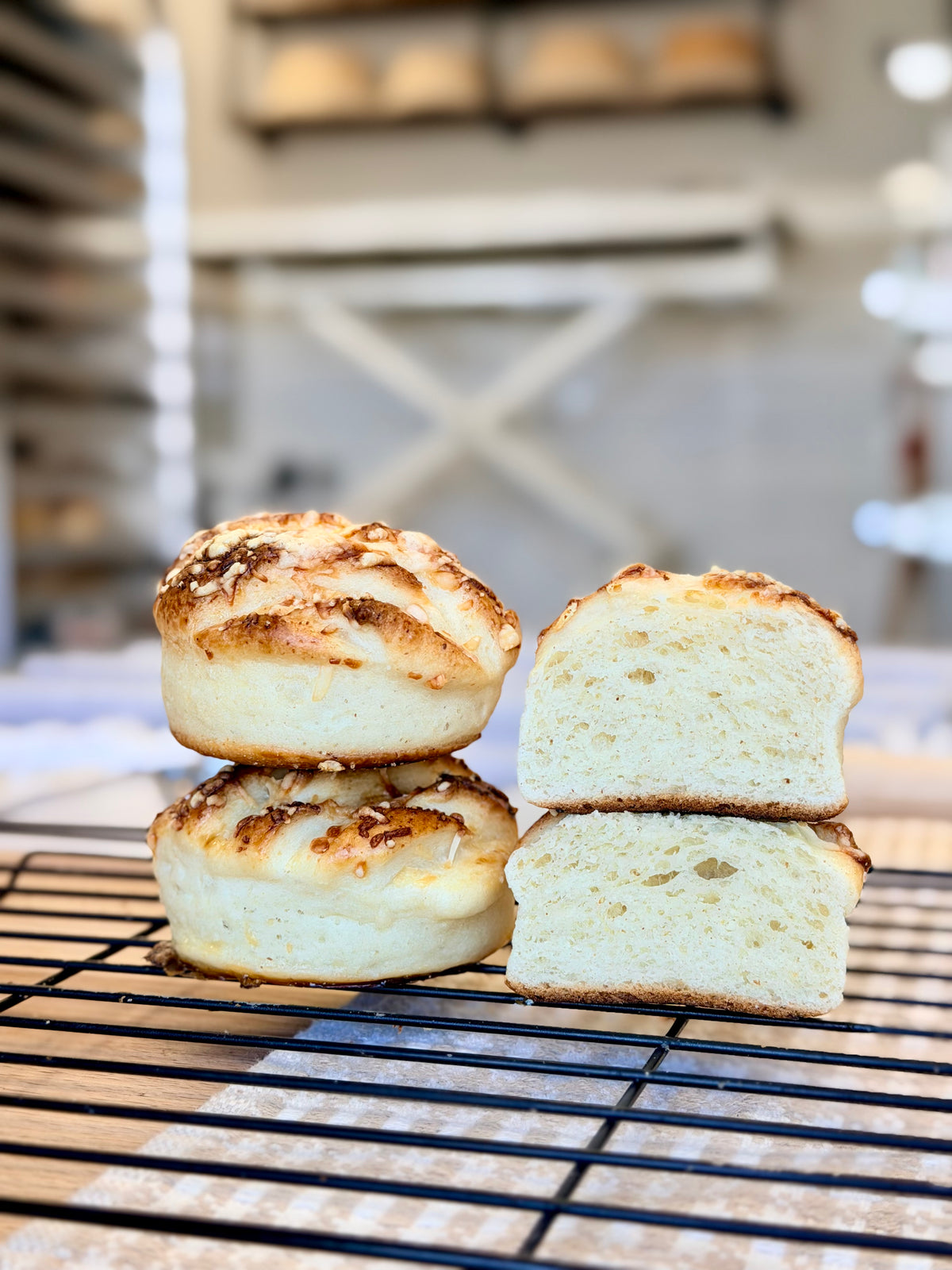 Cheese Biscuit
