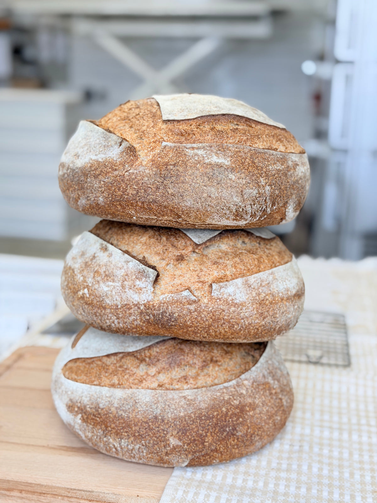 Organic Big Loaf Sourdough